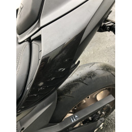 TRIUMPH 765 RS