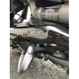 TRIUMPH 765 RS